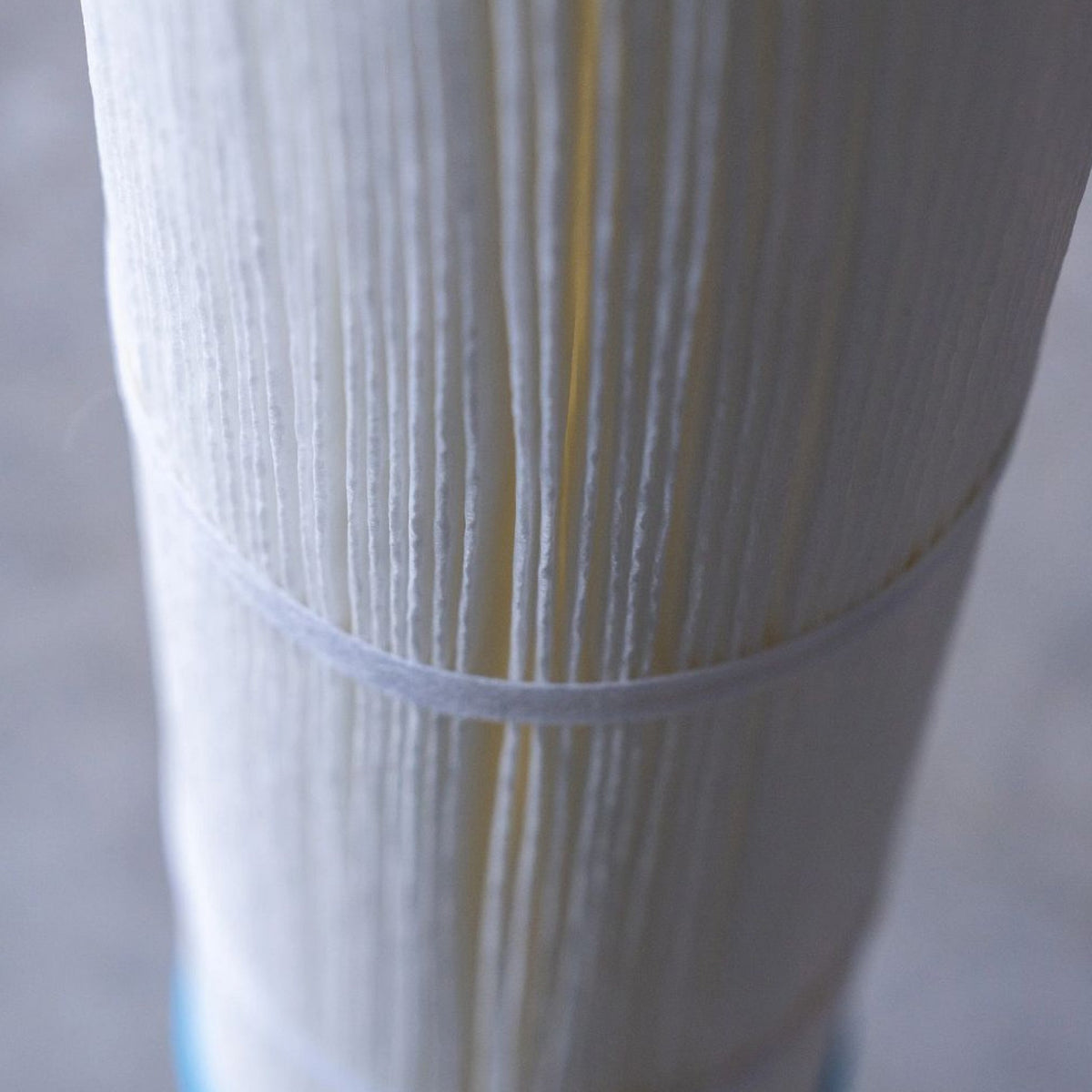 Echo Whole Home Water Filtration System