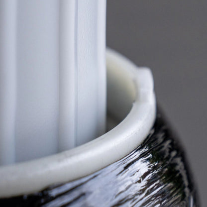 Echo Whole Home Water Filtration System