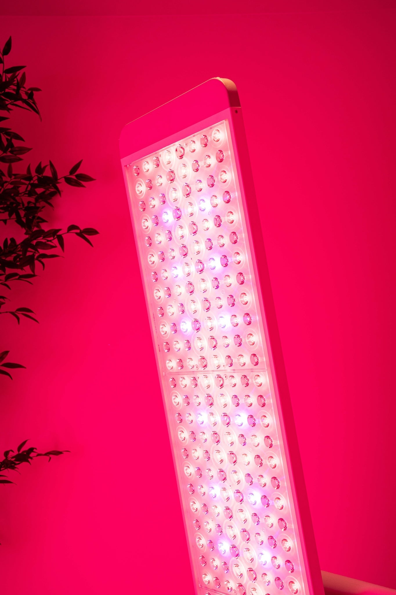 Renew Red Light Panorama Panel | 3-Channel Red Light Therapy Panel